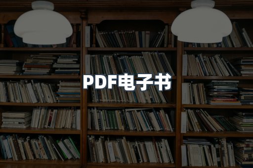PDF电子书